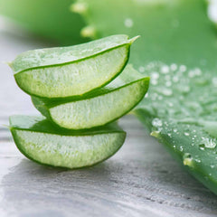 {"type":"root","children":[{"type":"paragraph","children":[{"type":"text","value":"Aloe Vera Extract","bold":true}]}]}