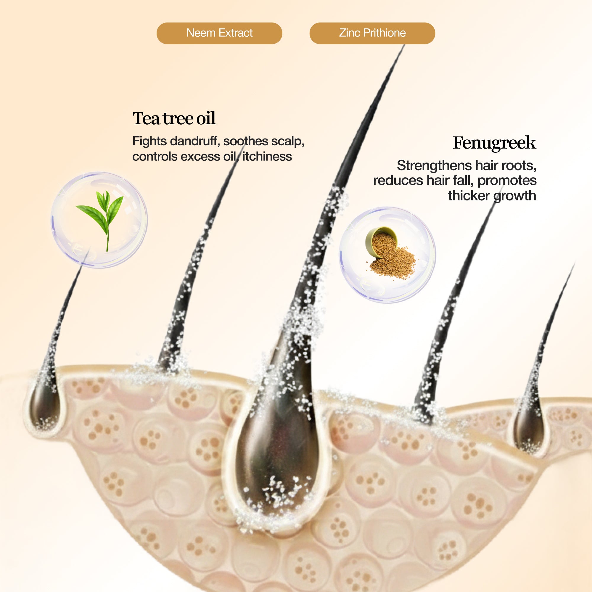 Leevs Dandruff Control Shampoo